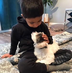 Meet your Posher, Zarina